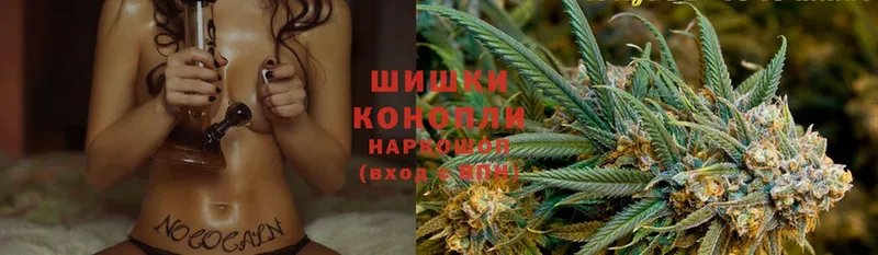 Бошки Шишки SATIVA & INDICA  как найти закладки  Братск 